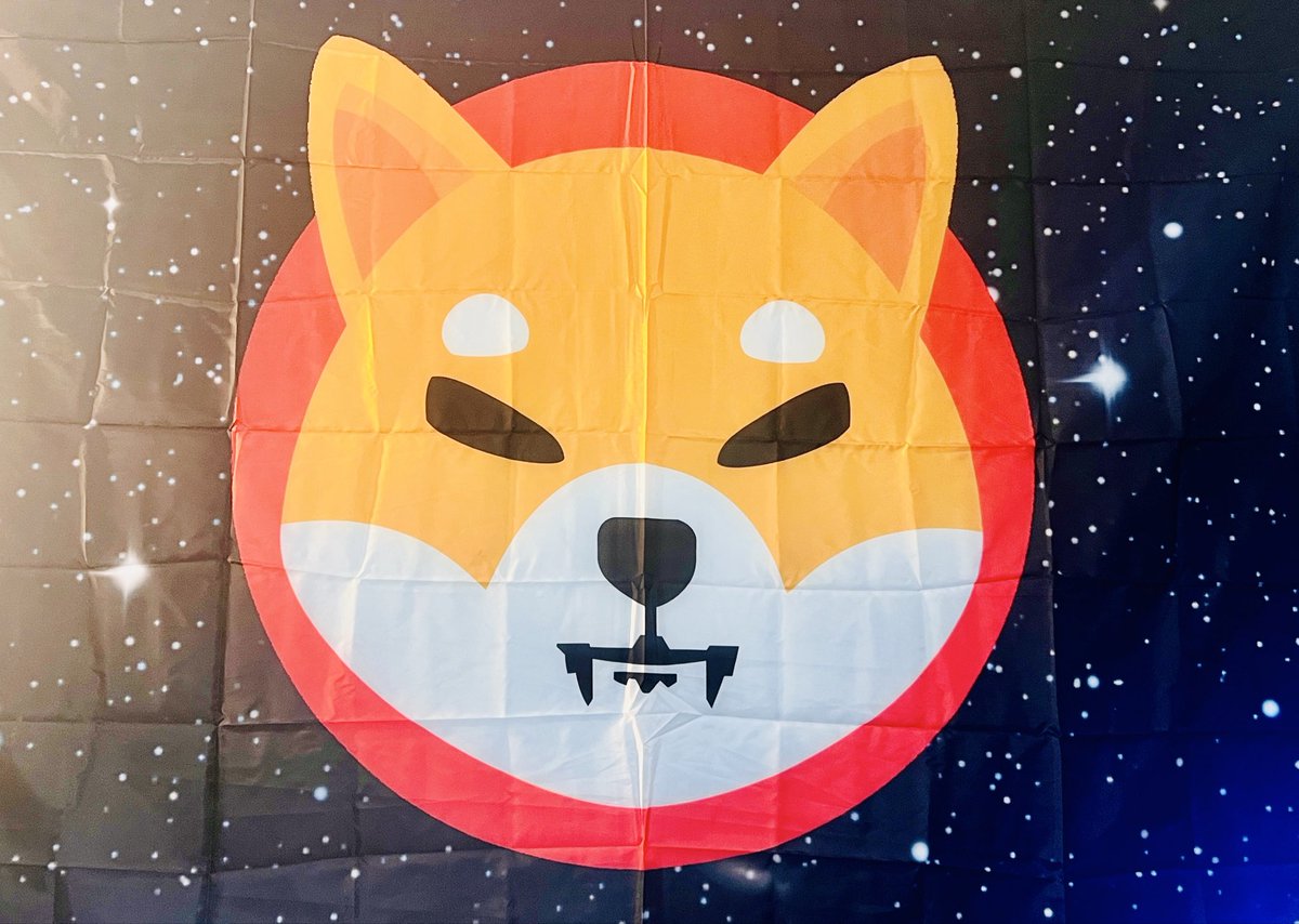 MagisterRamonVR's tweet image. @MakerLev “Don’t you Know - PUMP IT UP!” ;-) #DiamondHands! #AmIsraelChai!