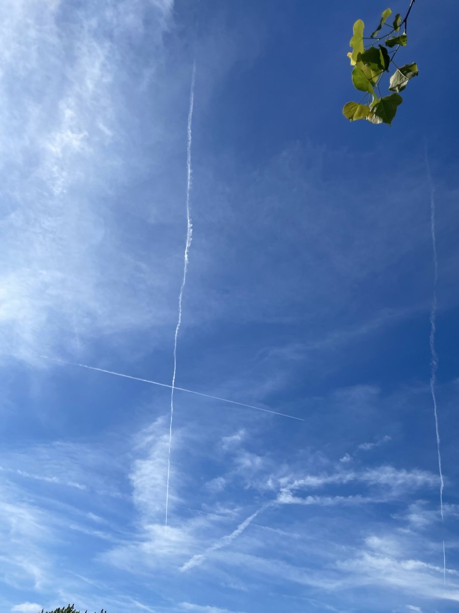 betsafly76's tweet image. What they’re doing harms humans &amp;amp; animals. #EastTennessee #chemtrails #contrails @GovBillLee @realDonaldTrump @RFKJr_Official @PoisonsSky