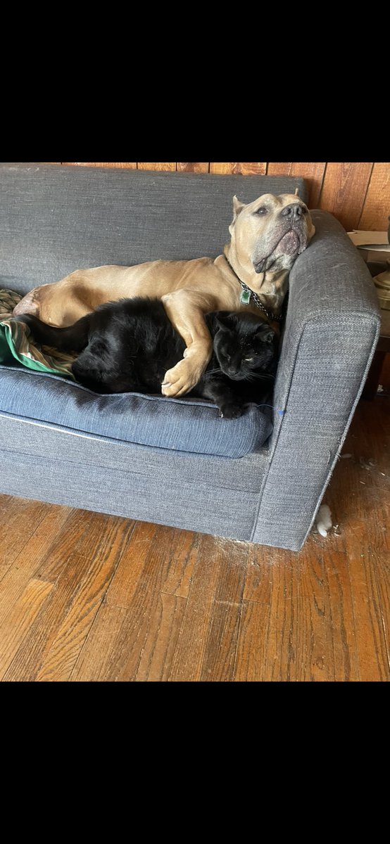 walking abortion tweet media