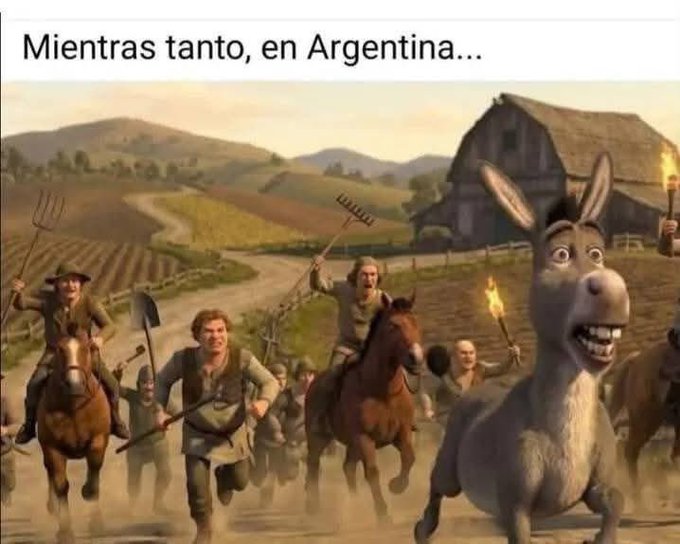 Mario Campa (@mario_campa) on Twitter photo 