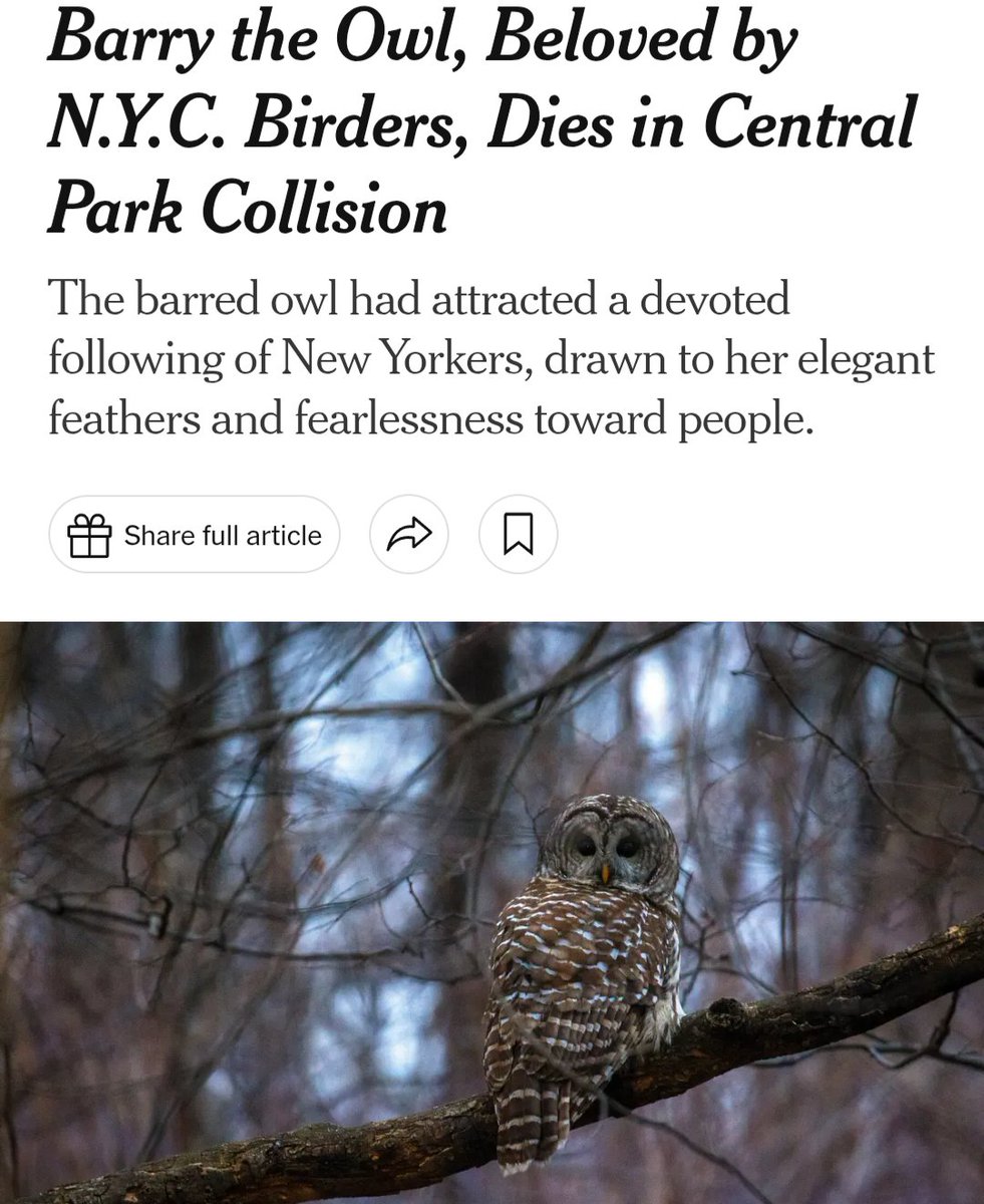 Robert Francis tweet media