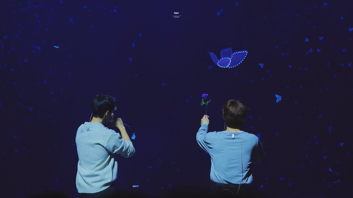 𝑠𝑖𝑔ℎ𝑡 tweet media