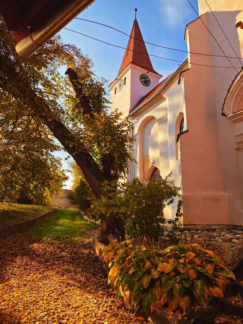 MonumentQuestM's tweet image. Saros pe Tarnave fortified church, Transylvania, Romania (Scharosch an der Kokel, Siebenbürgen, Rumänien)
#Transylvania #Romania #SarosPeTarnave