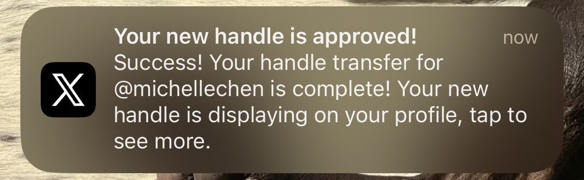 michelle tweet media