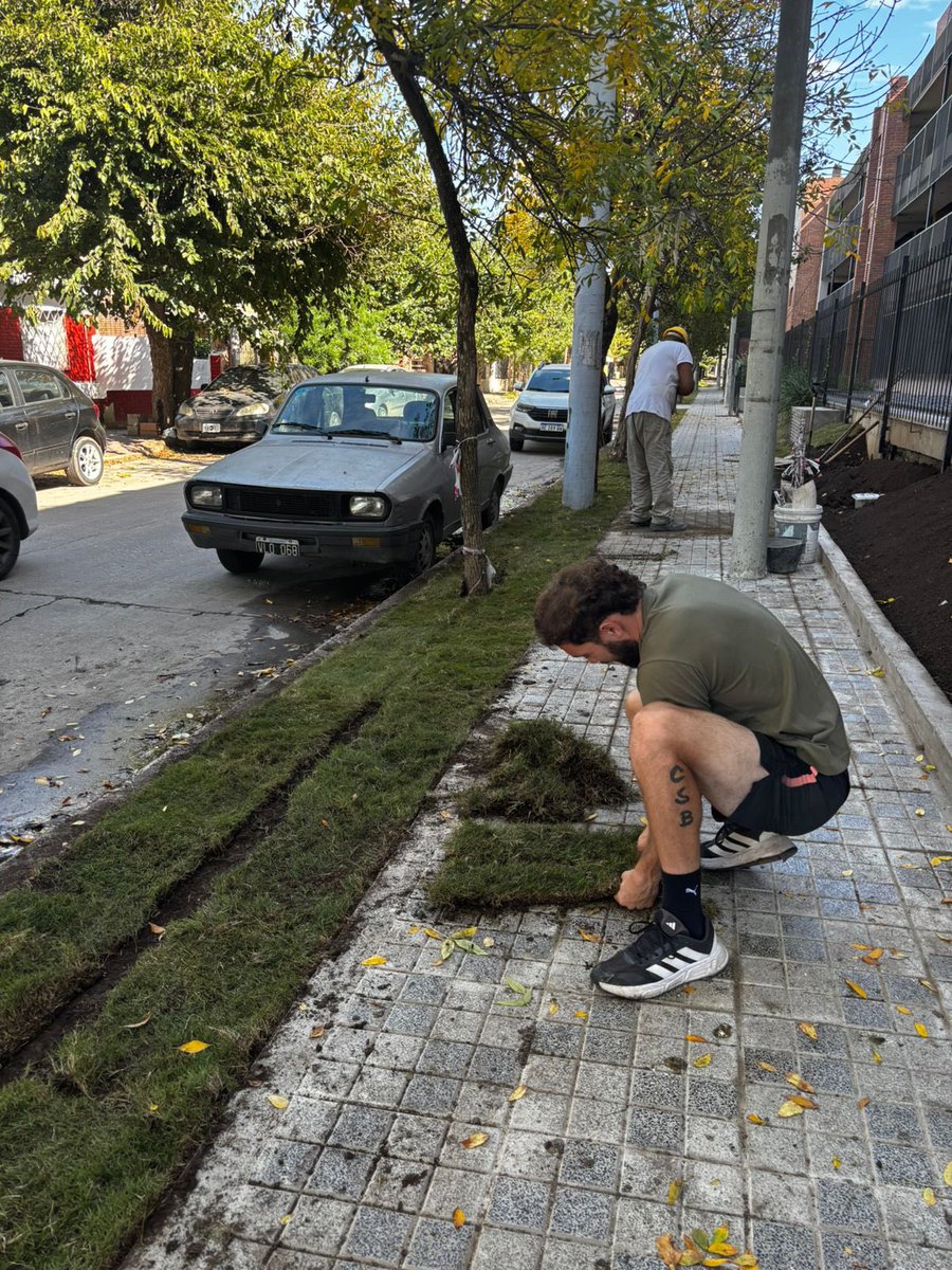 SariPomazan's tweet image. Buen día 🌞 así anda este mediodía por aquí #techosverdes #arquitectura #landscapedesign #paisajismo