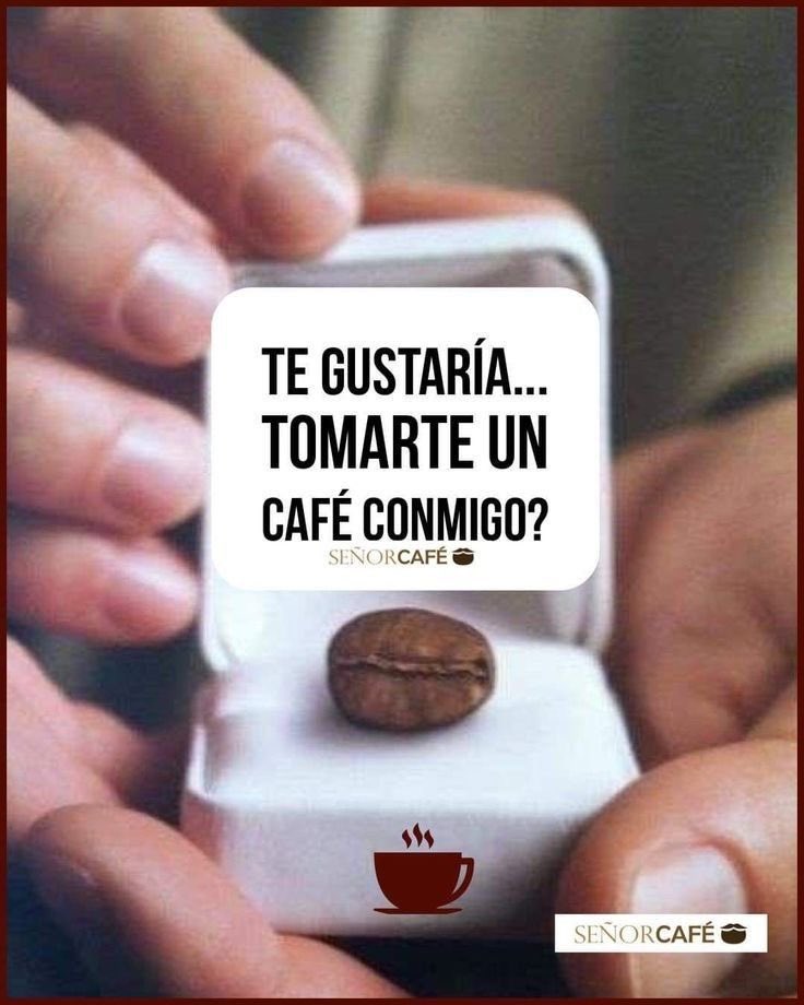 Aniita Perez tweet media