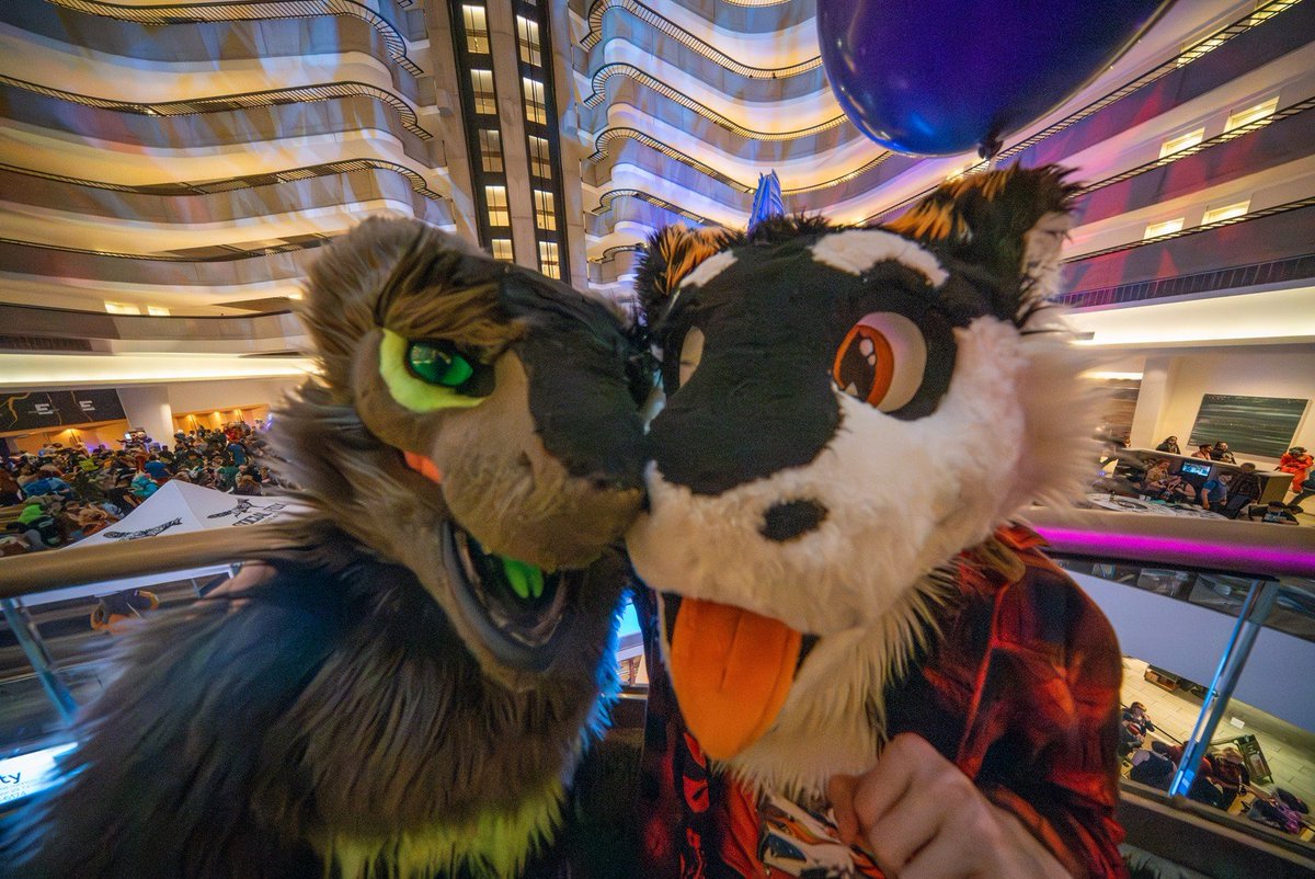 🧀🧀🧀🧀🧀🧀🧀🧀🧀🧀 tweet media