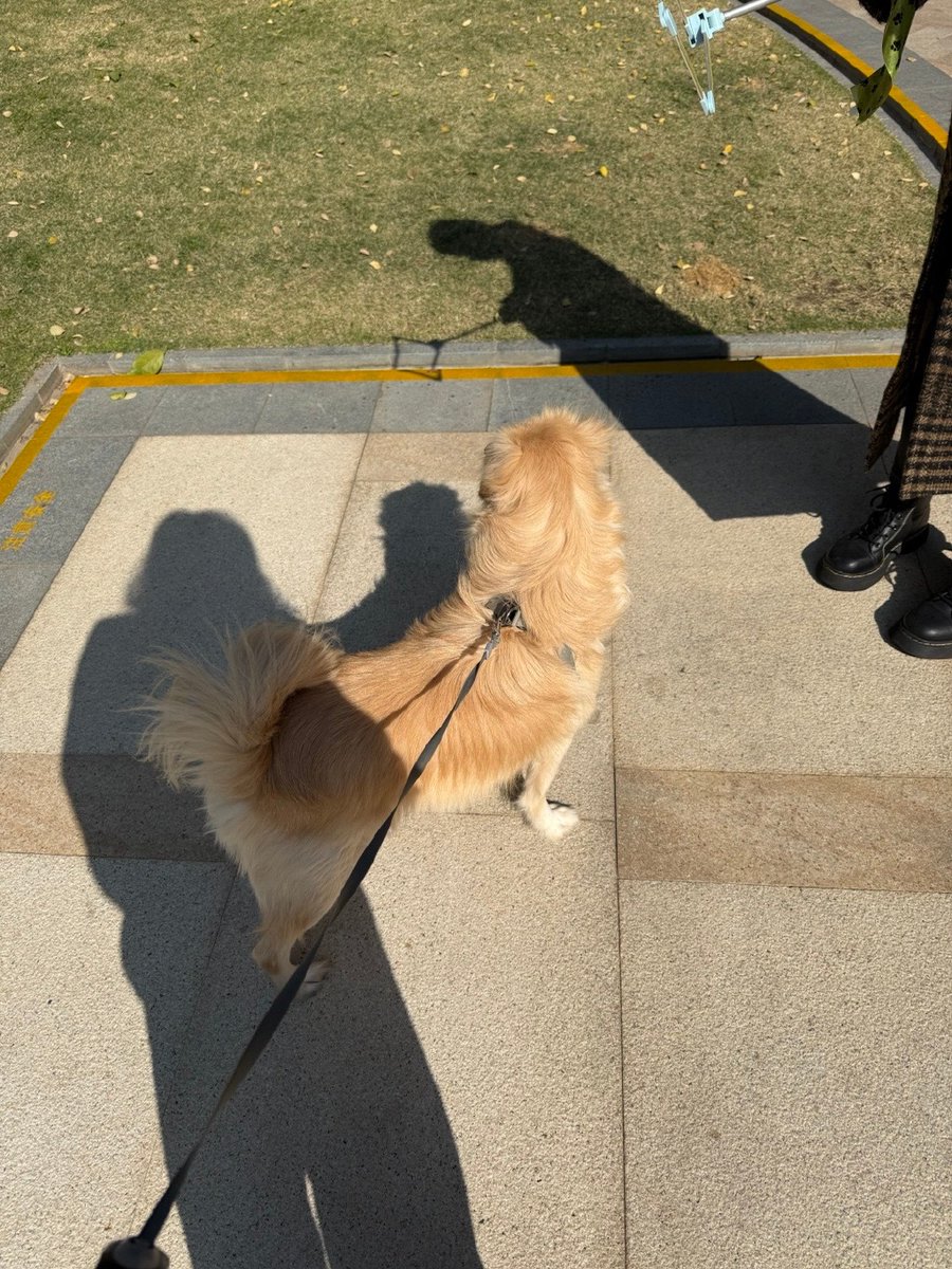 Ben Rajeb Amir tweet media