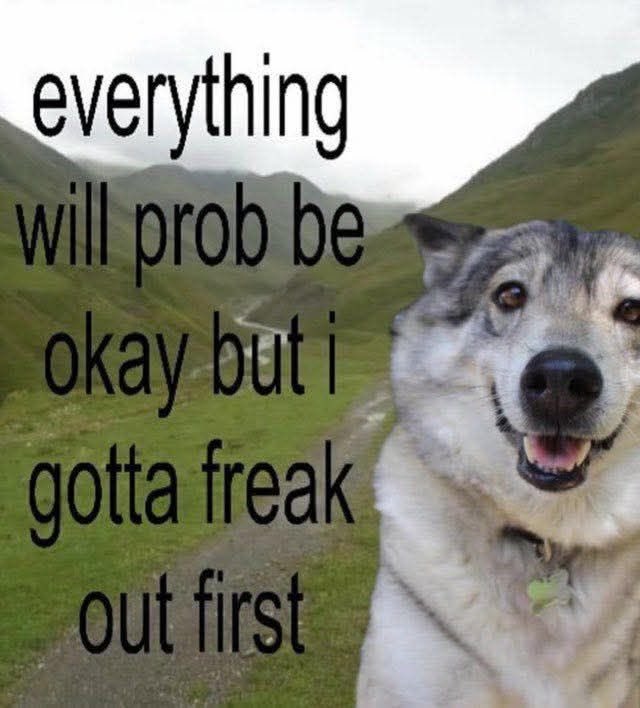 computer science and anthropology final projects all at the same time ain’t no joke man