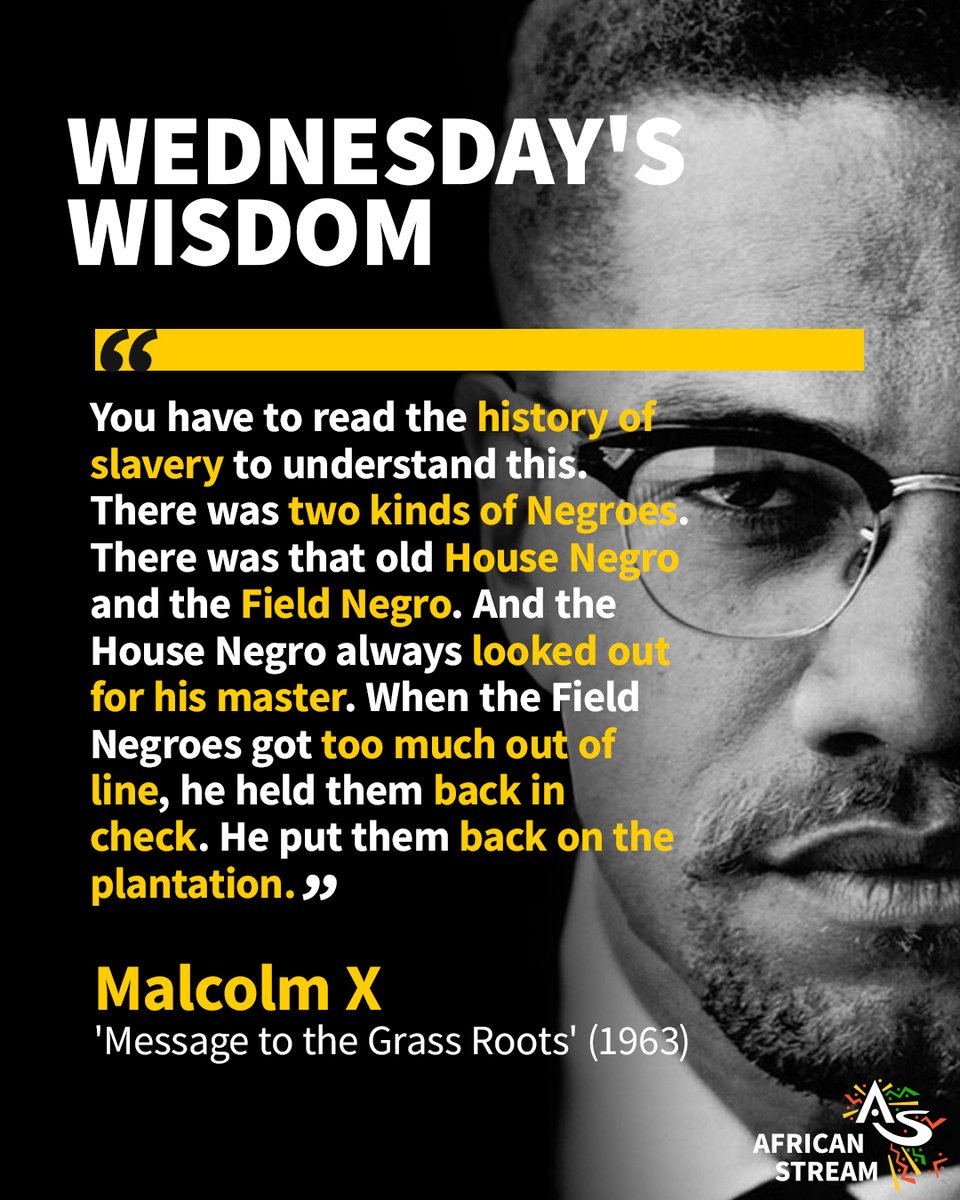 Mike Adams tweet media