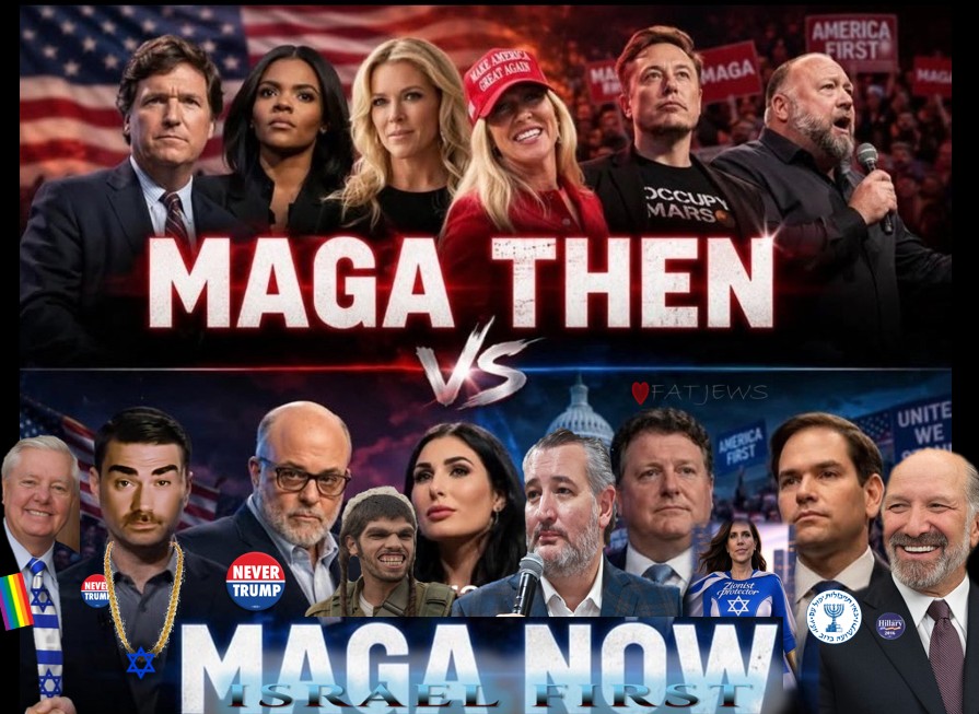 🇺🇸AmericanDad tweet media