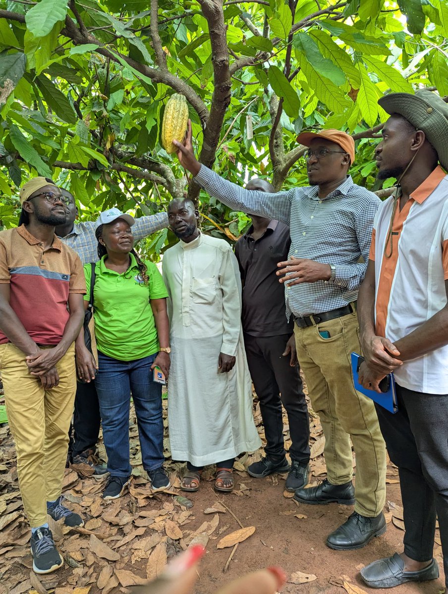 NaCORIUganda's tweet photo. COVAC PROJECT:
@NaCORIUganda  is implementing a cocoa project entitled: Cocoa Value Chain Development Project in West Nile (COVAC). The project is a collaboration between NaCORI and Canaan Global Leadership Center and Kijami Table Ltd (Korean based registered entities). The project is aimed at increasing cocoa production and productivity in the West Nile Sub-region of Uganda. This week, the project team conducted practical trainings along the cocoa value chain. The trainings happened at NaCORI and farmer fields in Mayuge, Mukono. A community-based project extension worker from West Nile attended the training to enhance his capacity to train cocoa farmers in the region. # CocoaNewGold