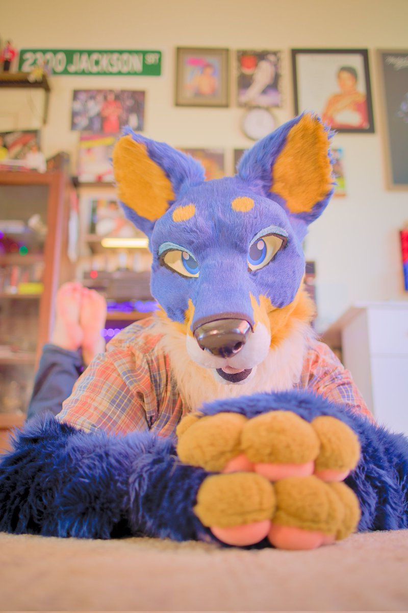 Artemis THE HUSBANDOGGO tweet media