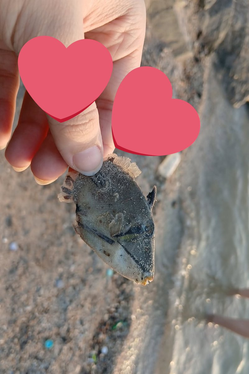 ☈ Ray | راي tweet media