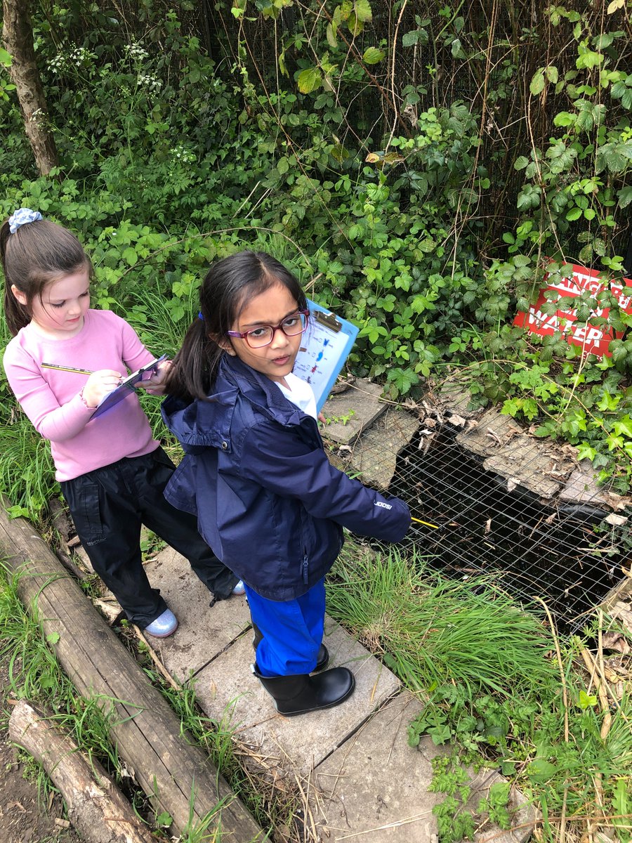 St Stephen's CPS tweet media