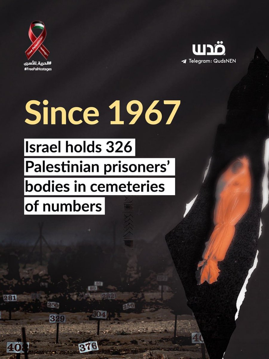 Quds News Network tweet media
