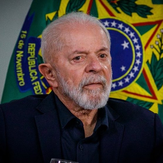 Chequei Ancap tweet media