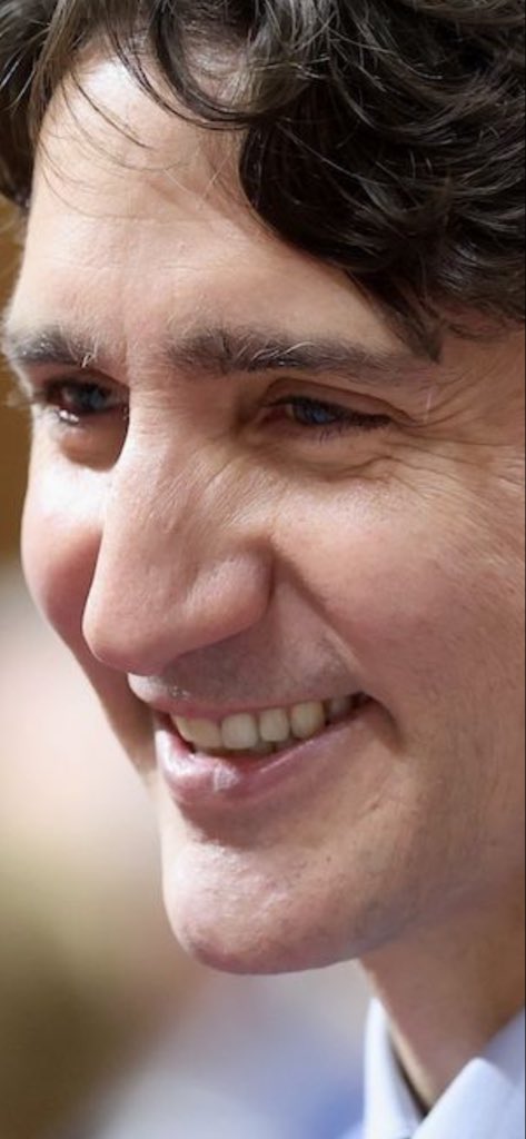 CriticalCritique tweet media