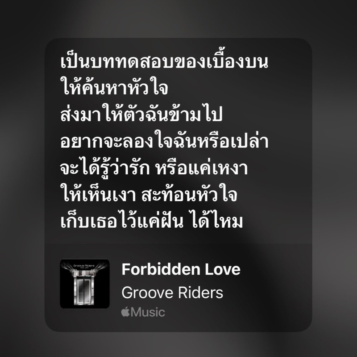 🪂 tweet media