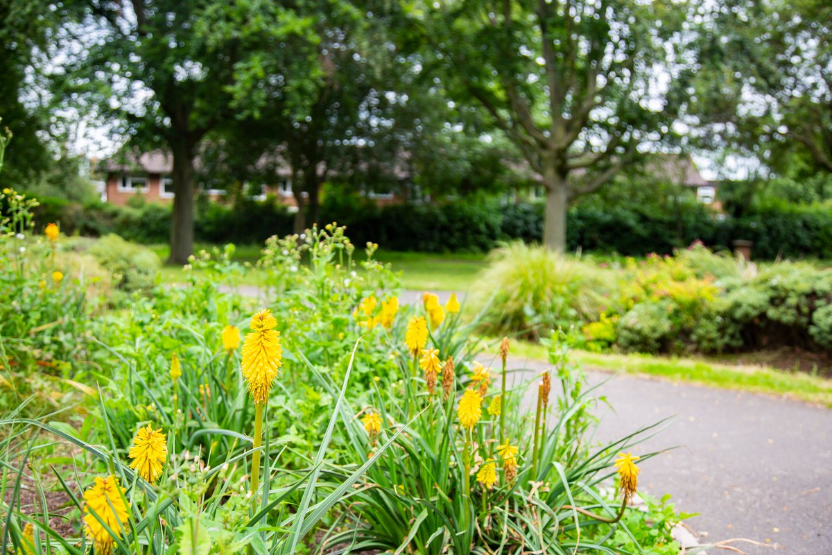 Vision Redbridge Culture & Leisure tweet media