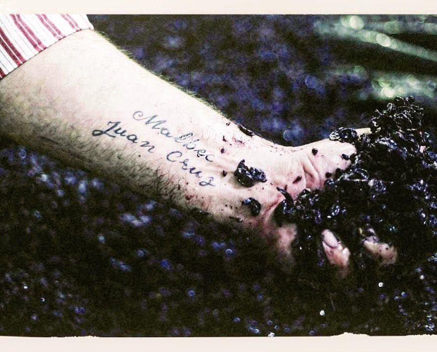 Alejandro Vigil tweet media