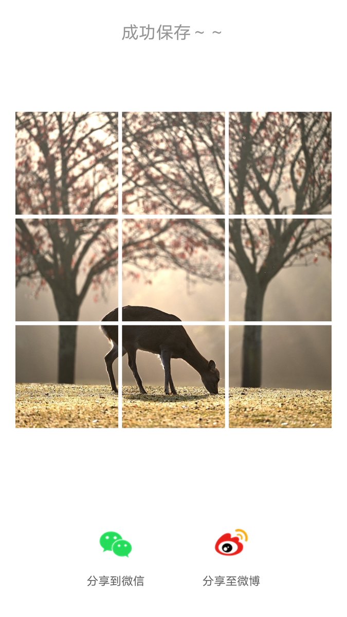 ironchat tweet media