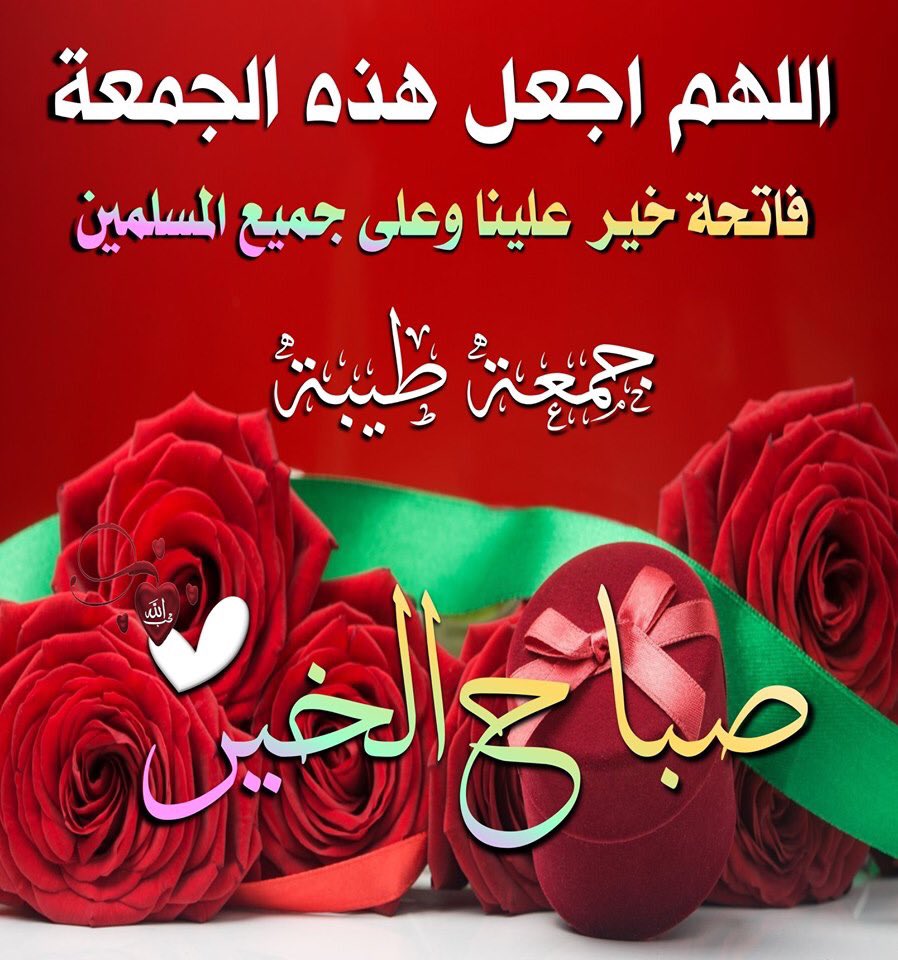 Saeed Ragheb tweet media