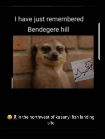 My Lordoooo🤣🤣🙌