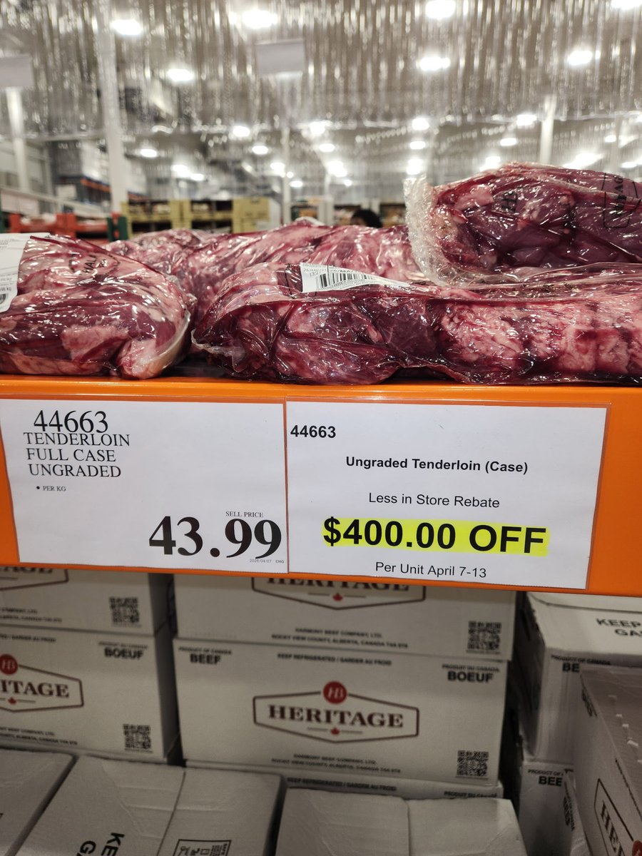 Taylor Lessard 🇨🇦 tweet media