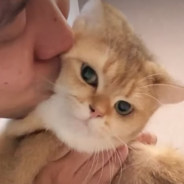 Little ◞♡. tweet media