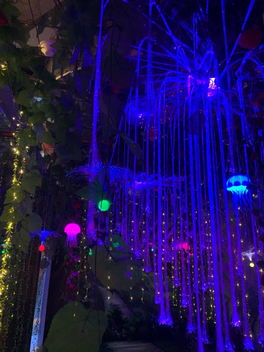 ClaireCreuse tweet media