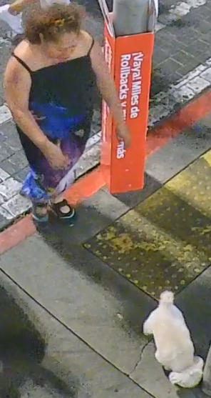 LVMPD's tweet photo. WE NEED YOUR HELP!

Last month, an elderly community member lost her service dog at a business near the 5100 block of Boulder Highway. Video surveillance footage revealed an unknown female grabbing the dog and leaving with it in a white Toyota minivan.  

If anyone has any information regarding this incident, please notify the LVMPD Southeast Area Command and reference Event: LLV260300071235.