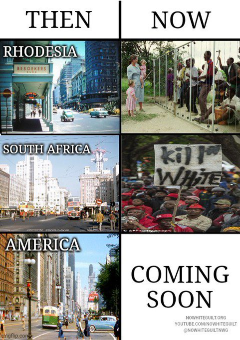 Will Tanner tweet media