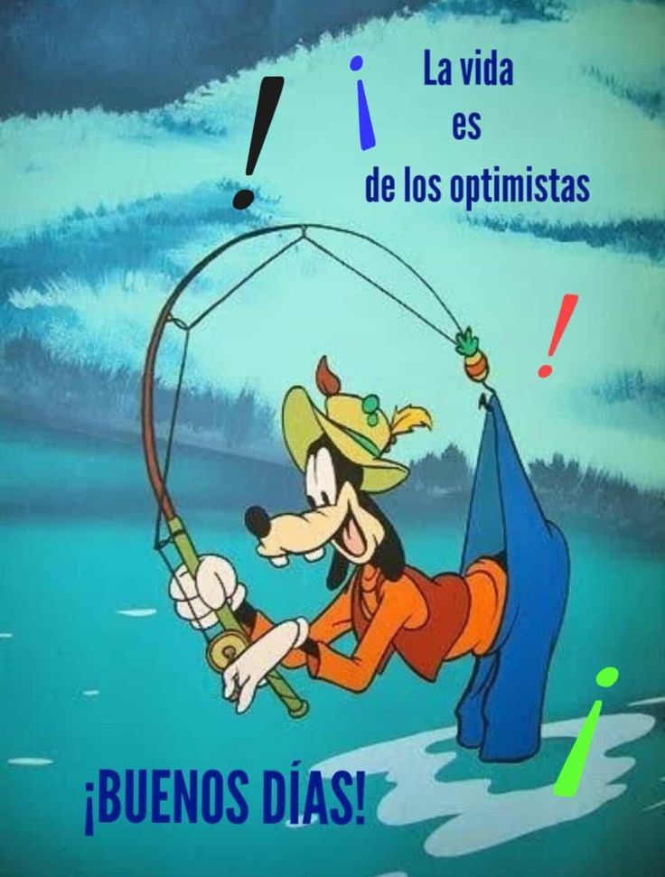 Pilar__HA's tweet image. Buenos días... #FelizViernes