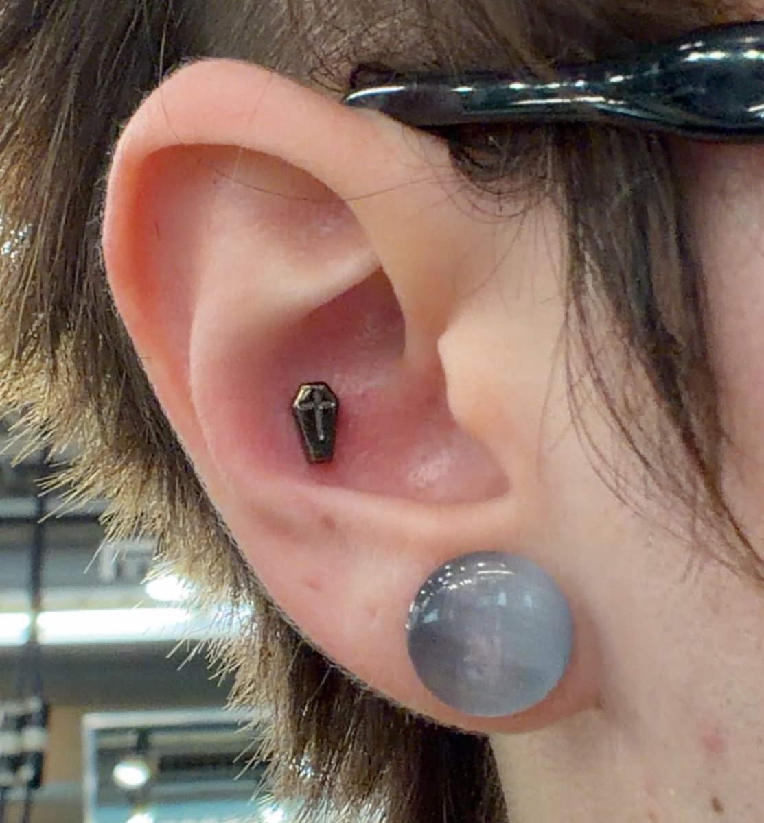 bear 🪽🐍 MAY 13TH tweet media