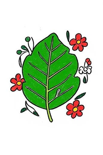 antonio duran pollan tweet media