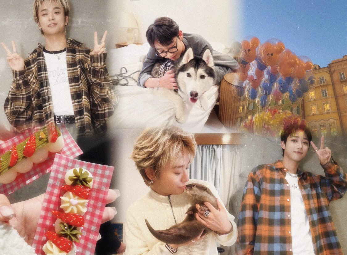 🐾 ⸒⸒ tweet media