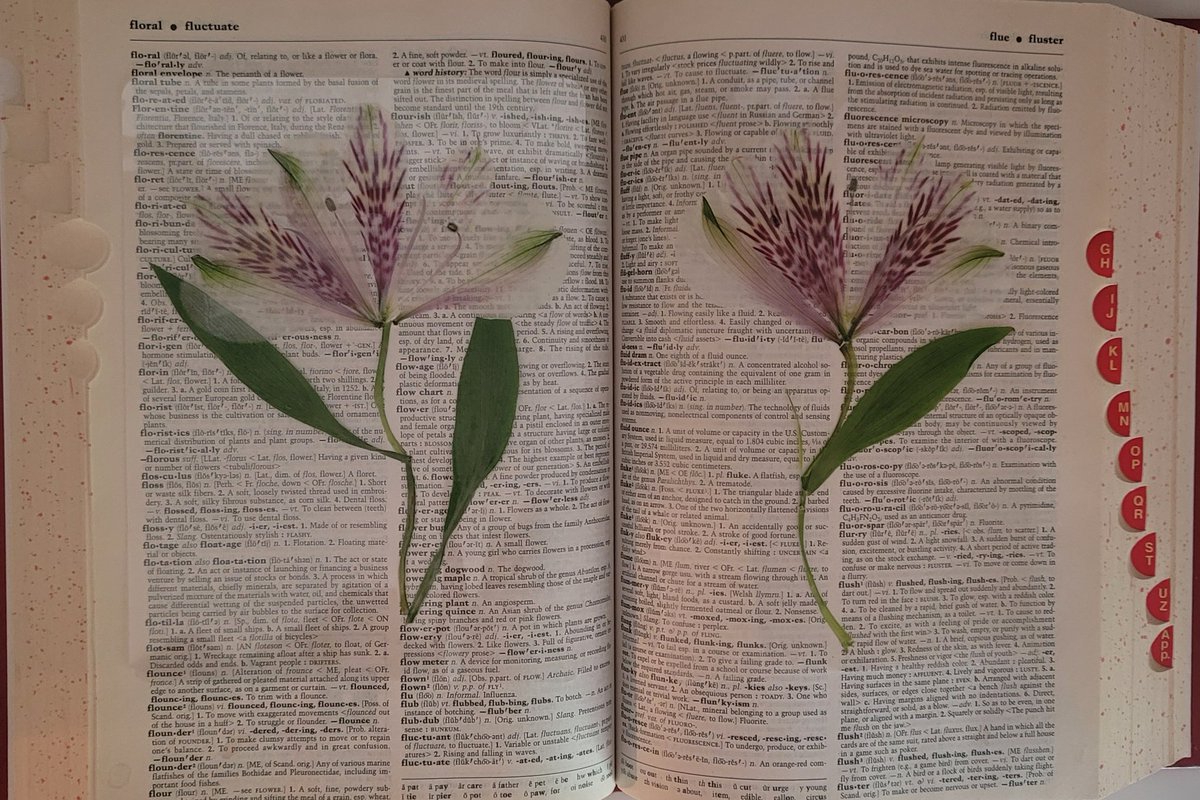 PiquePenelope's tweet image. Here is a sneak peek at the restock!

I've made these ones without ribbons, for a sleeker, more minimalist option.

They're also shorter, and wider, to fit inside smaller books with ease!

#handmade #flower #bookmarks #smallbusiness 

Botanical-bookmarks.myshopify.com