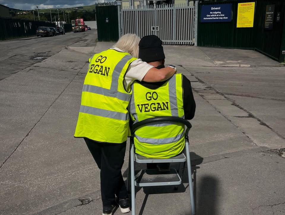 Animal Save Movement tweet media