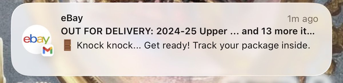 e/x - rome • 前に進め 🦈🏒 tweet media