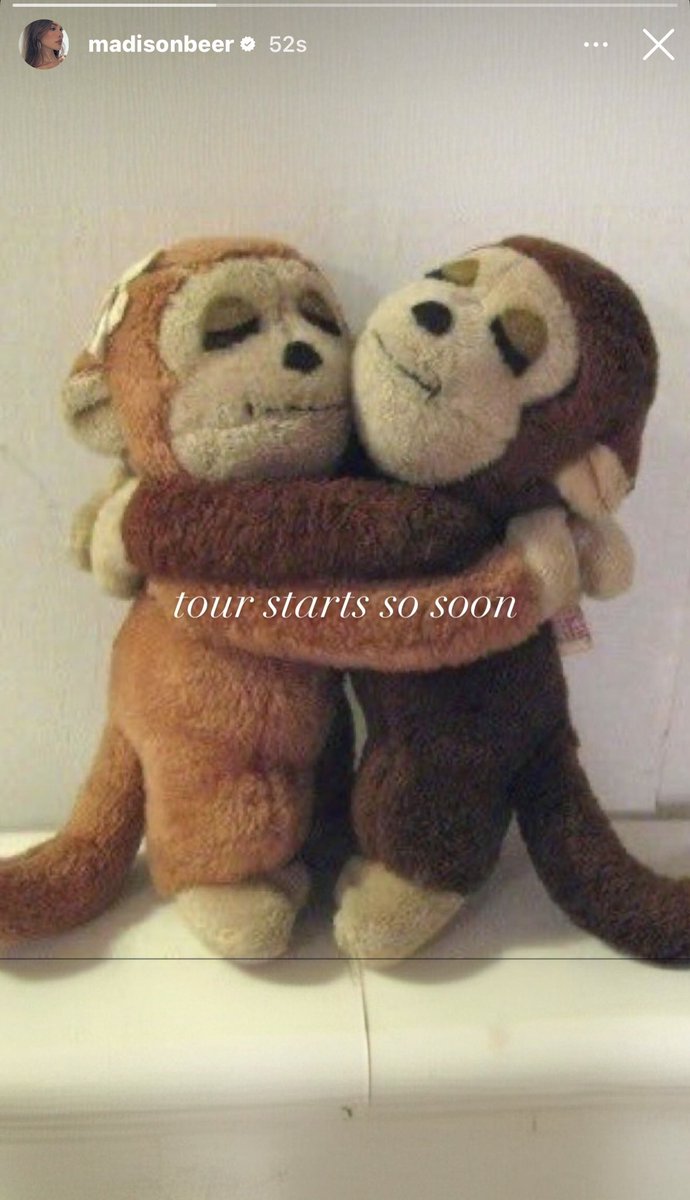 katelyn 𑣿 misses conan tweet media