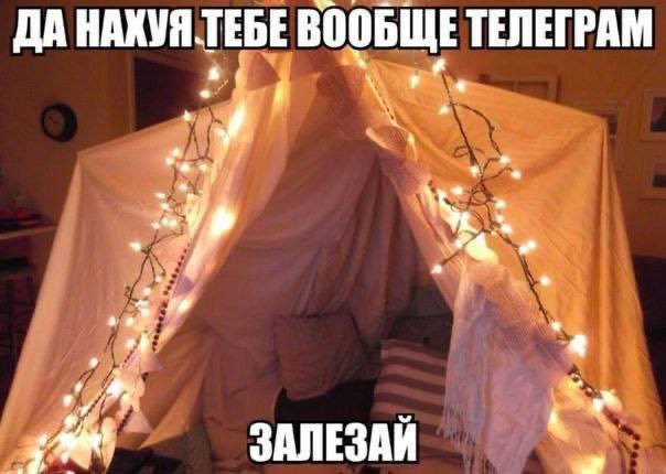 miss star (@alexabaeva) on Twitter photo 