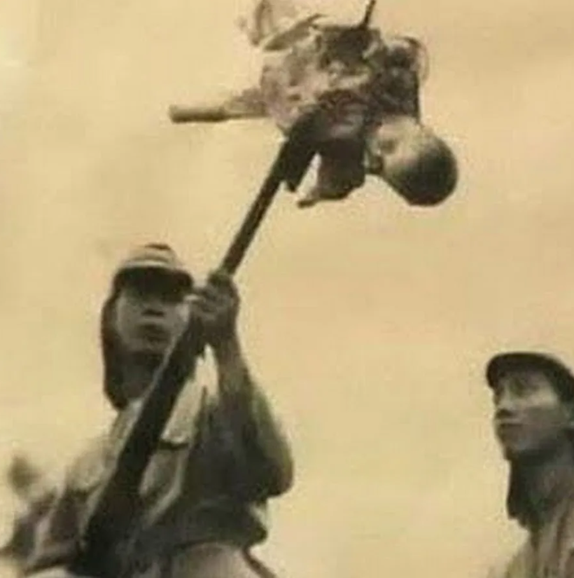 Stain Wolf tweet media