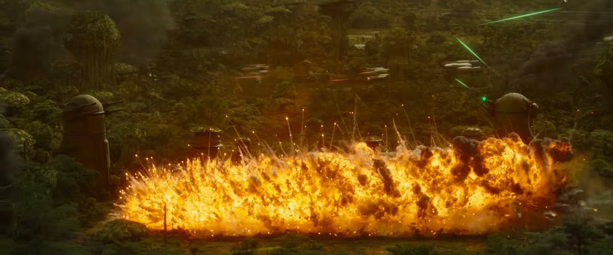 オバケヒマワリSW tweet media