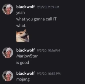 momoyoder's tweet photo. ts just proves that it has to be Danger no? In the first screenshot beneath you can actually see that blackwolf was answering to a deleted message of Danger where he asked if Marlow Star is a good name and only approx. 1,5 hours AFTER the bought account changed its name to marlow https://t.co/tINnLfdhBi