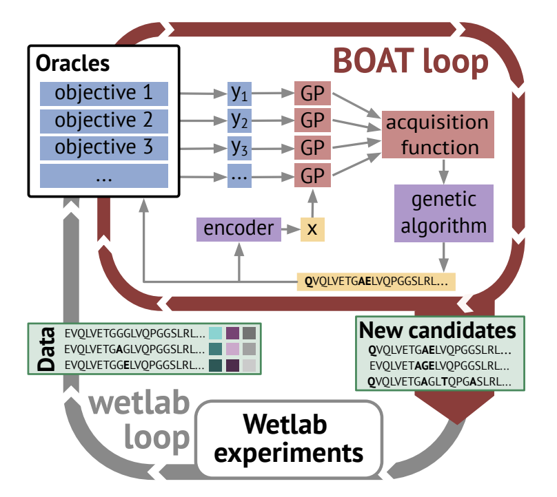 BOAT: Navigating the Sea of In Silico Predictors for Antibody Design ...