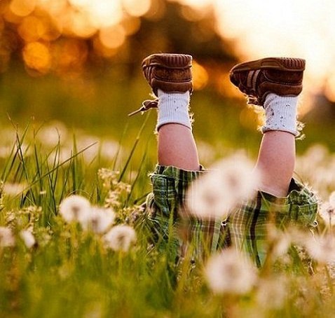 صحراء tweet media