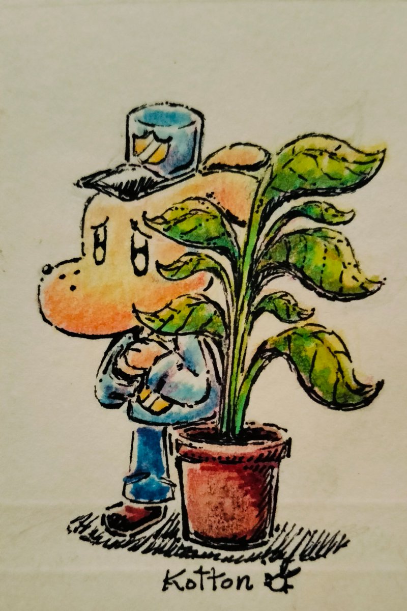 Kotton 🇵🇪 tweet media