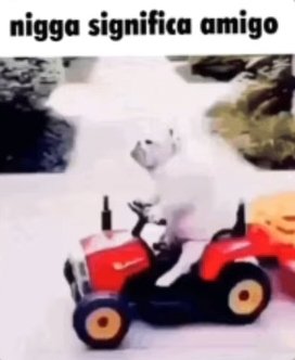 Luis pendejo tweet media