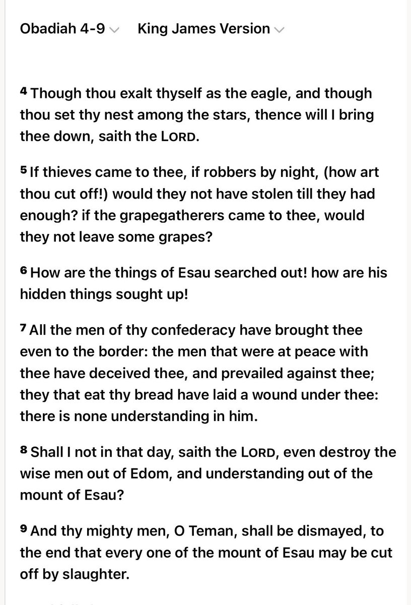 Knegroyp🃏 tweet media